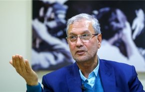ربیعی : بلدان الجوار هي التي أغلقت حدودها معنا