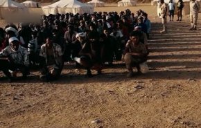 شاهد.. المرتزقة يشتكون معاملة السعودية السيئة الهم