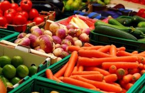 إيران تصدر 5.8 مليار دولار من المنتجات الزراعية والغذائية