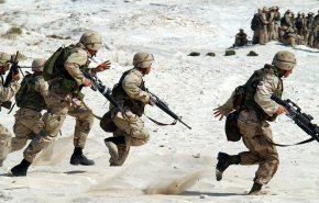 بالفيديو..طائر يسقط صاروخا أمريكيا