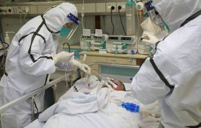 الإصابات بكورونا في هولندا تقترب من 40 ألفا 