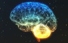 هذه الأطعمة تزيد من احتمال الإصابة بالخرف!