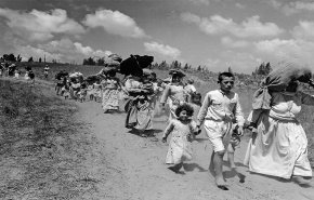 نكبة فلسطين والقضية الاسلامية الاولى 