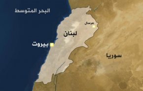 أسراب الحشرات تجتاح بلدة عرسال اللبنانية +تغريدات