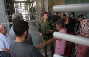 بازداشت ده ها جوان فلسطینی در شهر الخلیل
