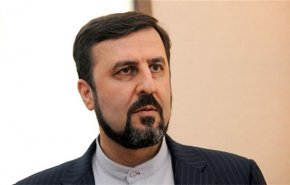 ما مضمون رسالة غريب ابادي إلى مكتب الأمم المتحدة ؟