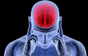 العلماء يحددون لأول مرة مكان الإجهاد في الدماغ
