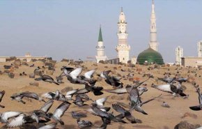 قصيدة في ذكرى هدم قبور ائمة البقيع (ع)