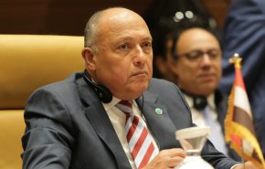 وزيرا خارجية مصر وإيطاليا يتحدثان بشأن تطورات ليبيا