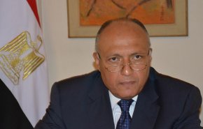 وزير خارجية مصر يحذر من استغلال 'داعش' لأزمة كورونا