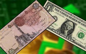 الدولار يواصل الارتفاع أمام الجنيه المصري