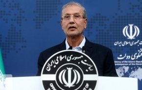 ربیعی : لدینا أکثر البرامج النوویة شفافیة فی العالم