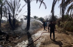 بالصور..اخماد حريق هائل ببساتين كربلاء بعد جهود مضنية طيلة 8 ساعات