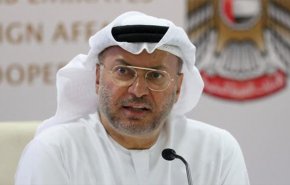 أنور قرقاش: العالم العربي يمر بحالة ضعف.. 'طارئ'