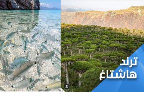يمنيون ضد احتلال سعودي بالمهره..
