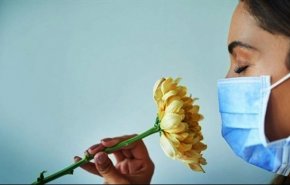 هل تعيد حاسة الشم او الذوق بعد الشفاء من كورونا؟