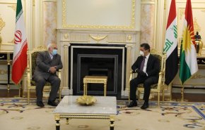 ظريف ومسرور بارزاني يبحثان بشان تطوير العلاقات بين طهران واربيل