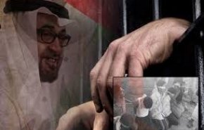 فرنسا تُفجّر قنبلة صوتية بوجه إبن زايد