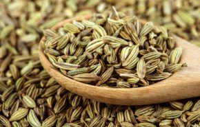 فوائد الشمر لخسارة الوزن لكن احذروا أثاره الجانبية
