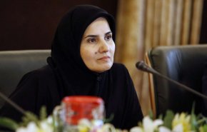 لعيا جنيدي: التفسيرات الاميركية غير مقنعة ويمكن مقاضاة الجناة