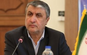 اسلامي: تهديد طائرة ركاب مدنية عمل إرهابي ويمكن مقاضاته
