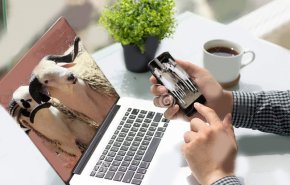باكستان تدعو مواطنيها إلى شراء الأضاحي عبر الإنترنت