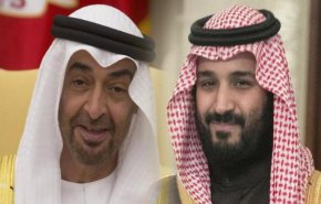 أكاديمي إماراتي: لا تصفوا ابن زايد وابن سلمان بـ