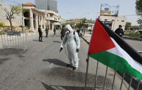 الضفة الغربية تسجل 244 إصابة جديدة بفيروس كورونا 