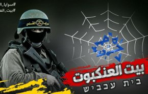 'بيت العنكبوت' .. صراع الأدمغة مع الاحتلال