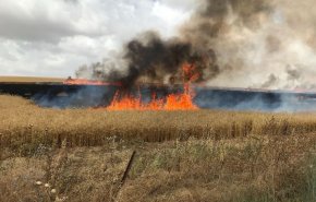 25 حريقا اندلعت في غلاف غزة المحتل بفعل بالونات حارقة