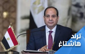 عشية انتخابات 'الشيوخ'.. مغردون مصريون: السيسي باع مصر!