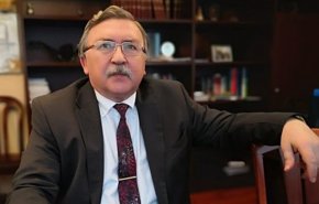 جمهورية الدومينيكان لاعب مهم في الخليج الفارسي!