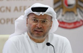 قرقاش يعلق على قضية التطبيع مع الاحتلال وبيع  إف-35