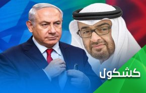 عندما ينتدب إبن زايد لصاً لحماية بيته وعرضه!