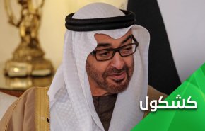إبن زايد ليس مكيافيلي ولا فرانكشتاين إنه أداة لا أكثر