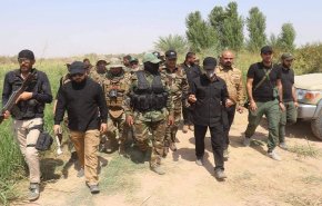 الحشد الشعبي: العمليات ستستمر لحين تطهير مناطق ديالى من الدواعش