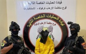 القوات العراقية تقبض على عنصرين من 