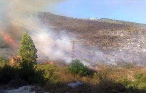 غرباء ملثمون على دراجات نارية تشتعل غابات سوريا بعد مرورهم