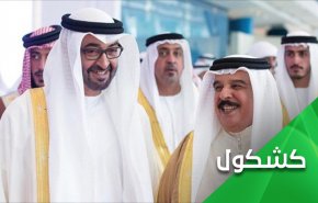 أبناء زايد وأبناء خليفة و