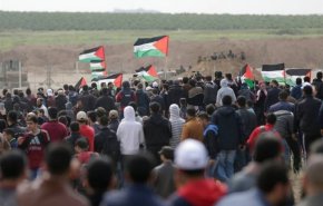 شاهد.. شخصيات فلسطينية تؤكد على سقوط الدول المطبعة