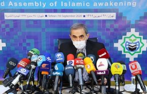 ولايتي: الوحدة بين المسلمين ضمان لصنع النصر على أعداء الأمة 