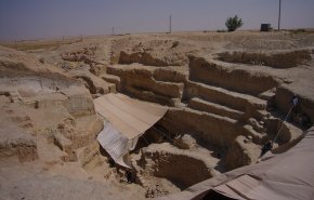 اكتشاف 'الجمل العملاق' في سوريا..لغز بحاجة لتفسير علمي