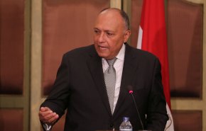 شكري وبيدرسون يبحثان تحريك العملية السياسية السورية