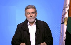 نخالة: الدول العربية تدخل بيت الطاعة الإسرائيلي