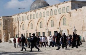 وسط حراسة مشددة.. المستوطنين يقتحمون باحات الأقصى