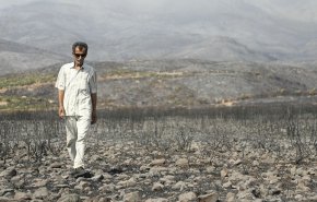 سوريا.. صور مؤلمة للأهالي في مواجهة حرائق الغابات