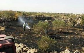 سوريا تنجح في إخماد جميع حرائق طرطوس والسويداء