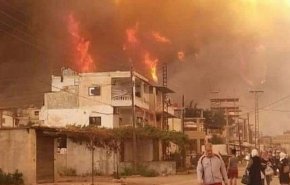 السلطات السورية تكشف حجم الأضرار الناجمة عن الحرائق 
