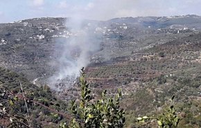 بالصور.. إخماد حريق بريف الدريكيش السوري