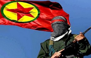 تركيا تستهدف عنصرين من 